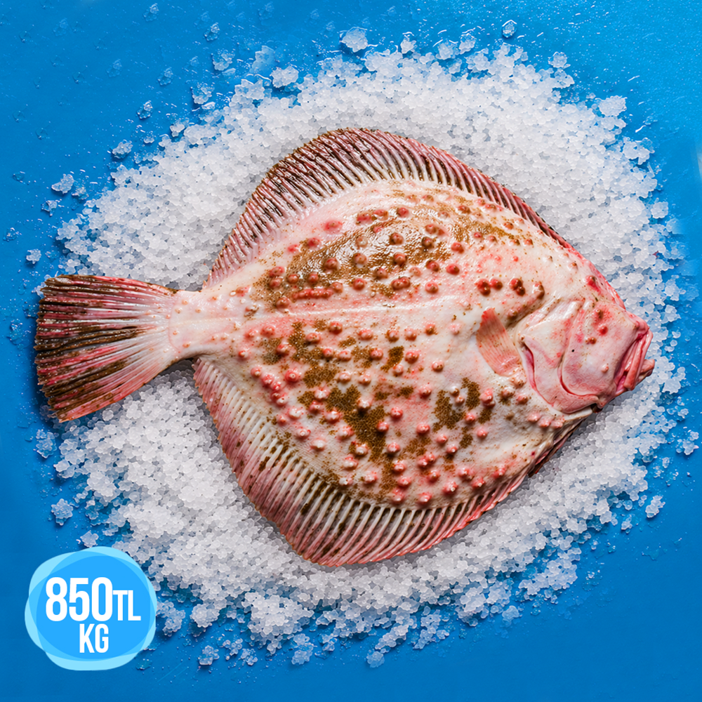 KALKAN 3,200 KG