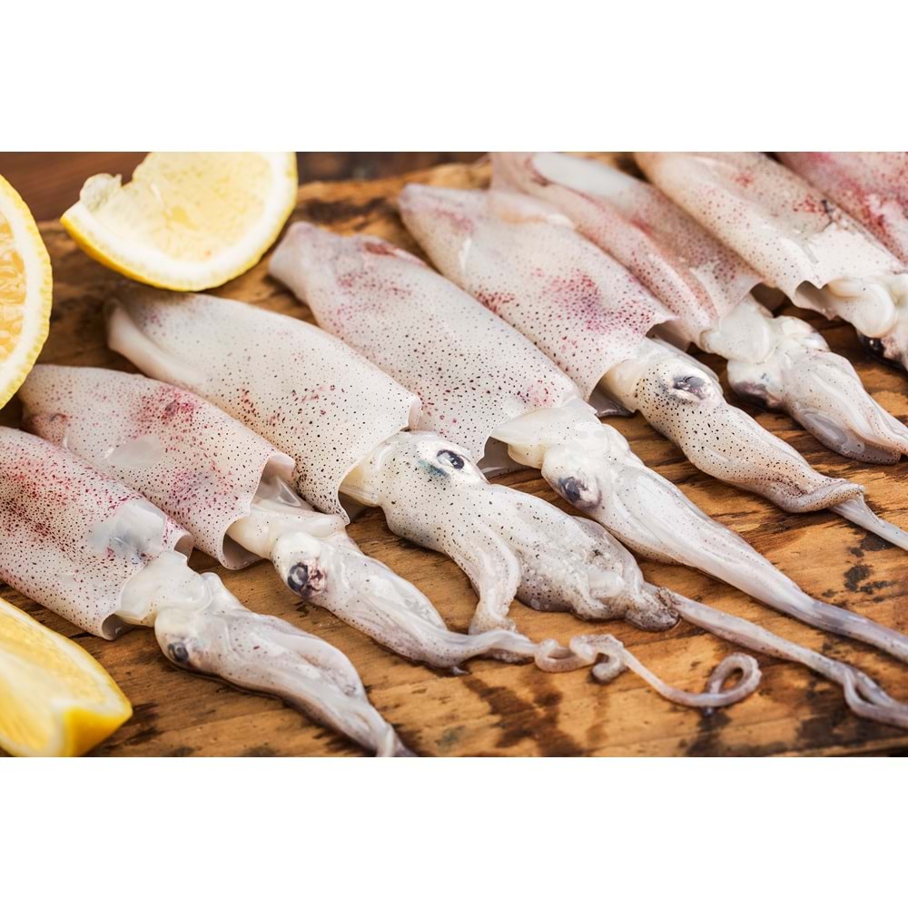 YERLİ KALAMAR BÜLBÜL ( 4KG)