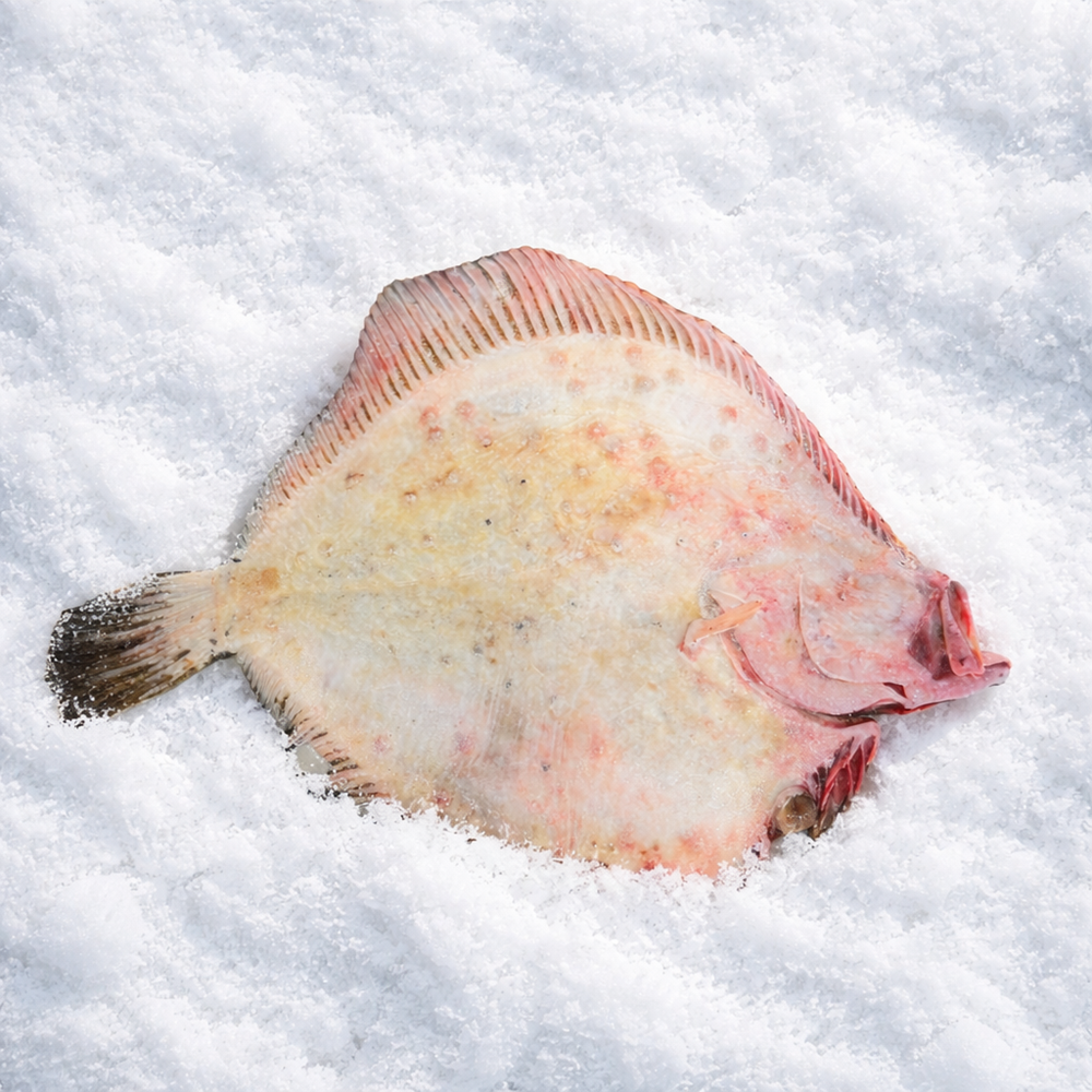 KALKAN 4,150 - 6,405 KG