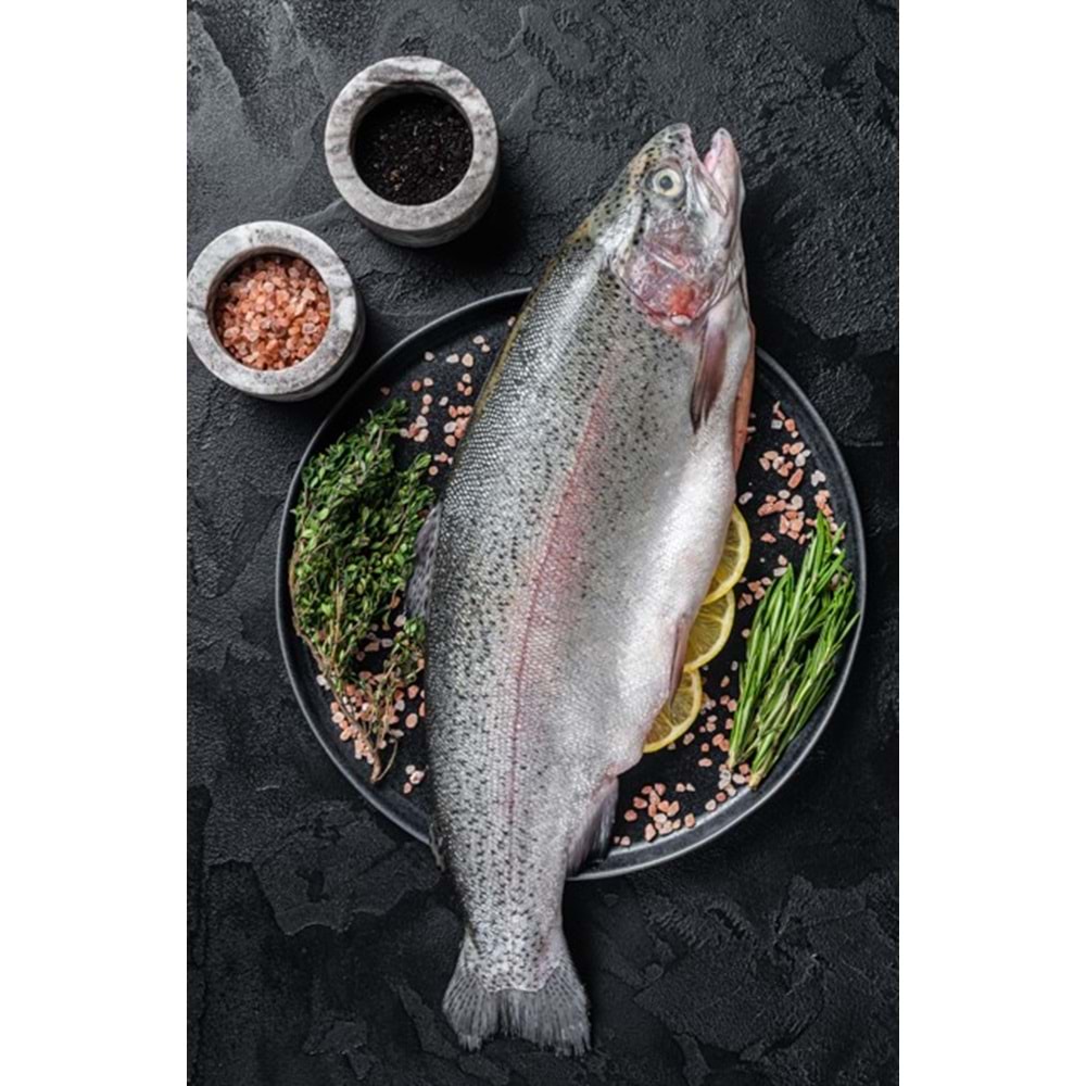 TÜRK SOMON (5 KG KASA)