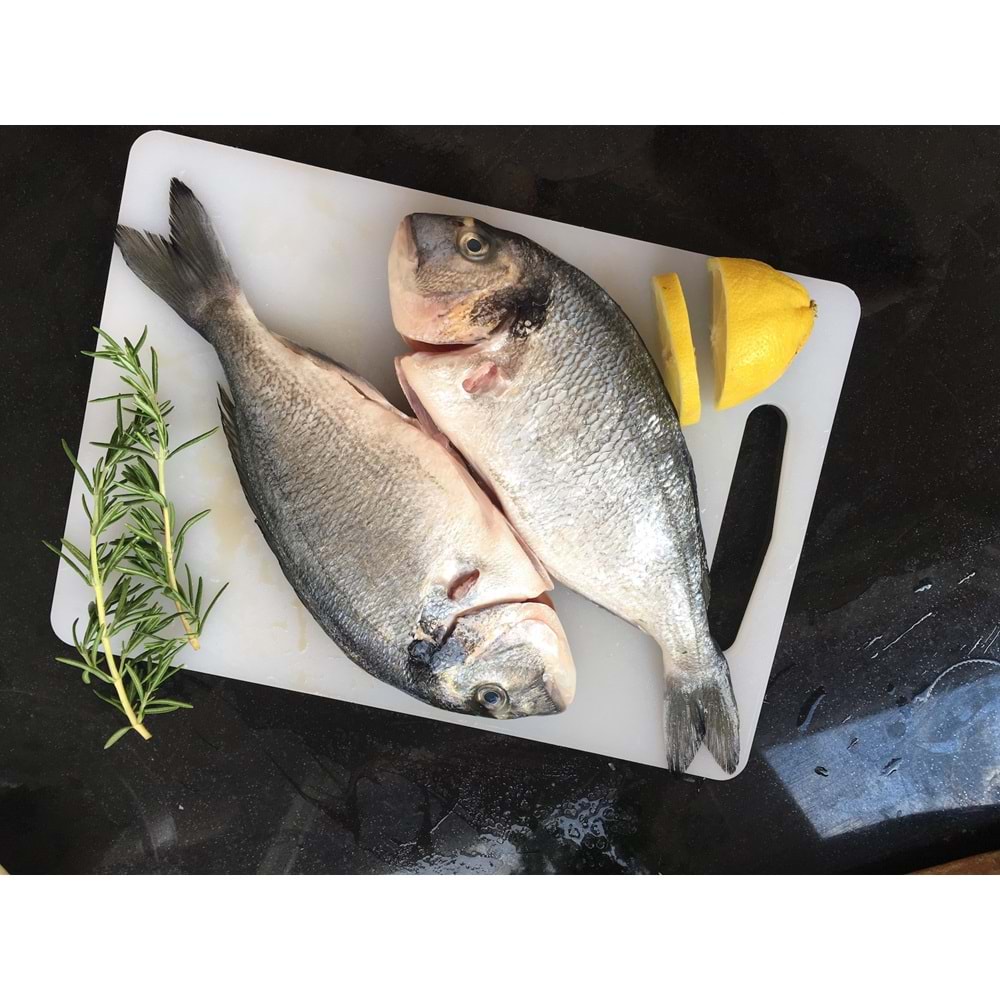 ÇİPURA İRİ(700 GR)