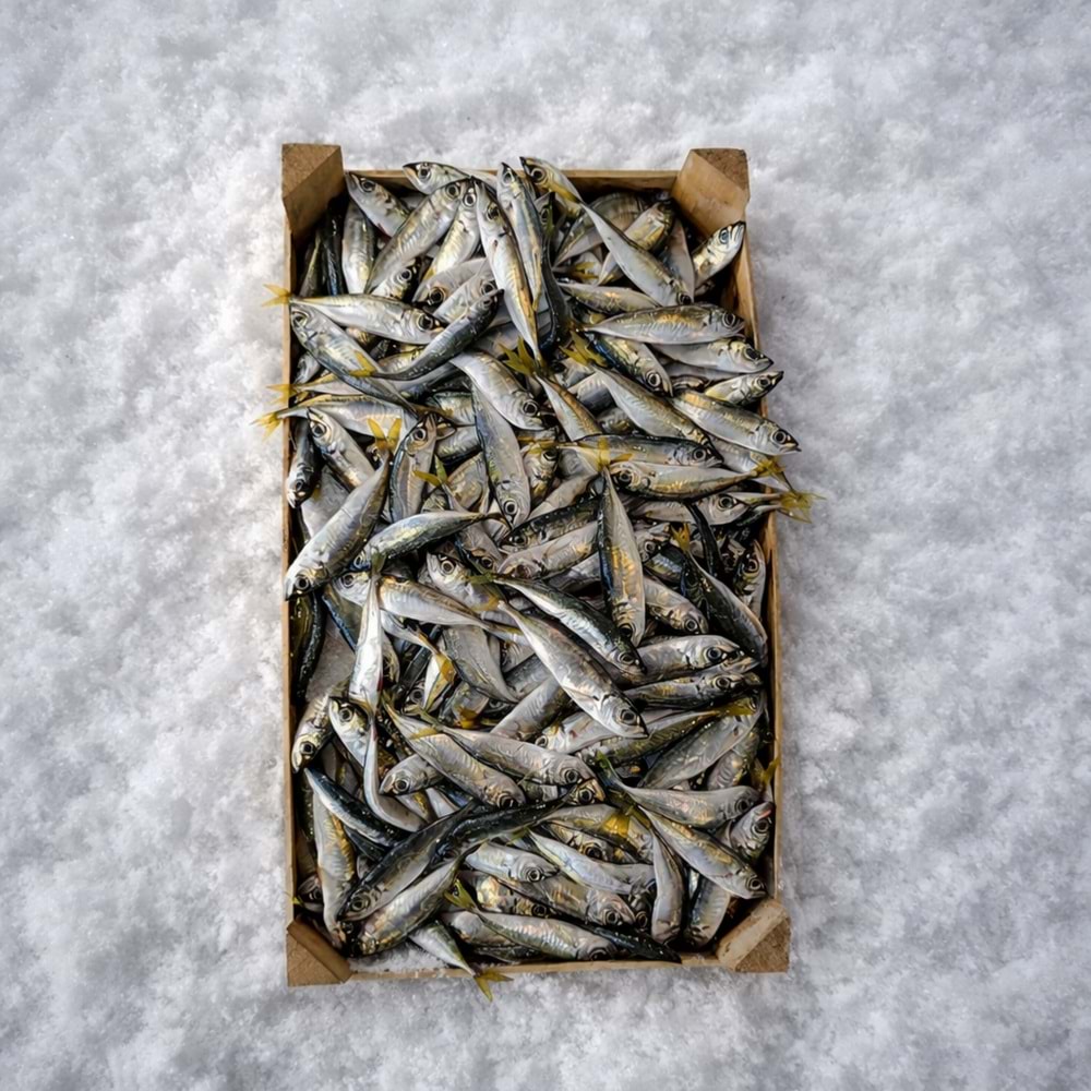 İSTAVRİT 4 KG KASA