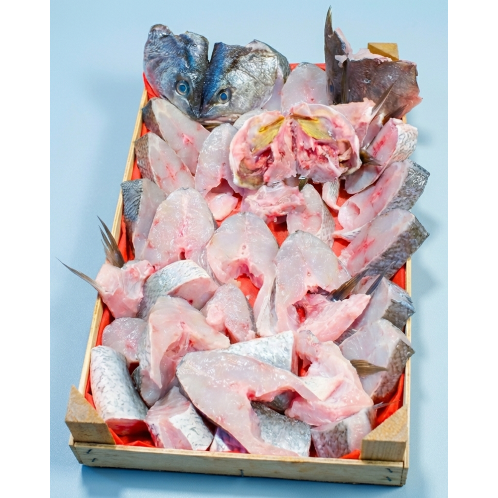 Kaya Levreği Kasa 4 Kilo Brüt