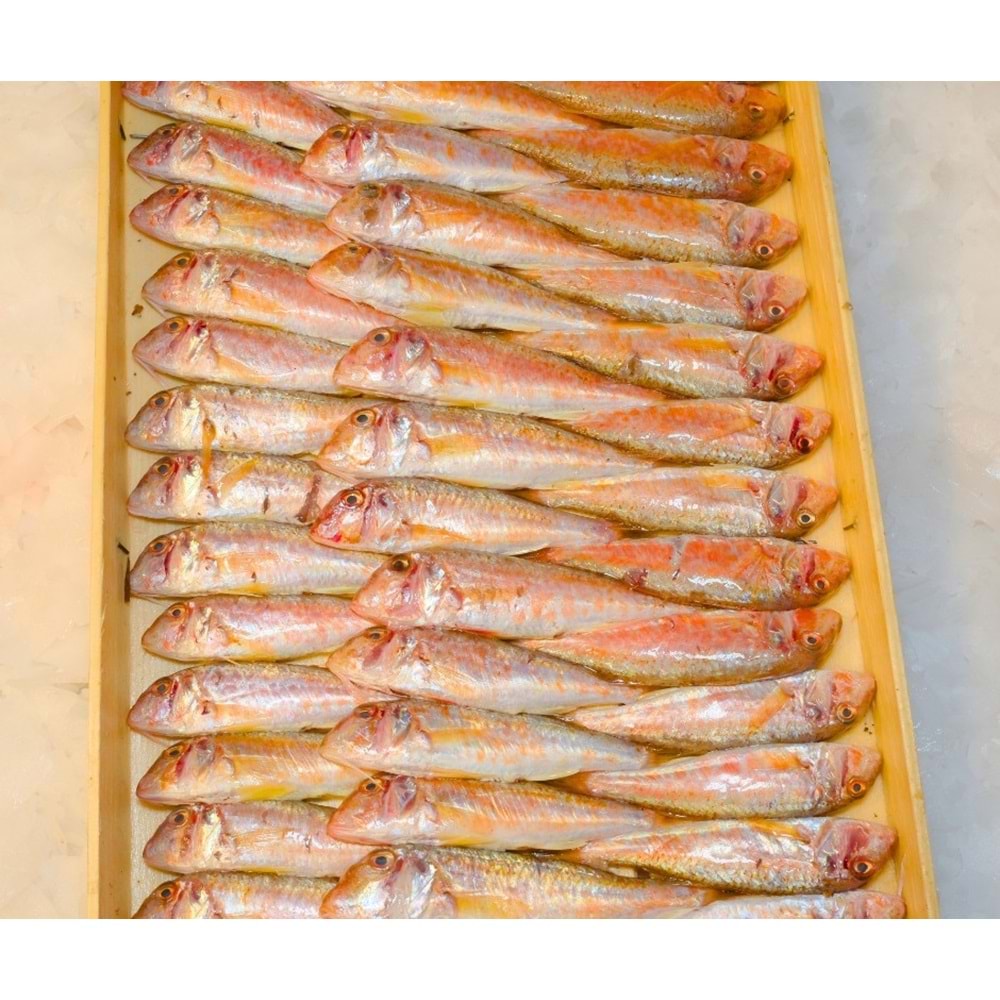 TEKİR İRİ BARBUN 4KG (KASA)