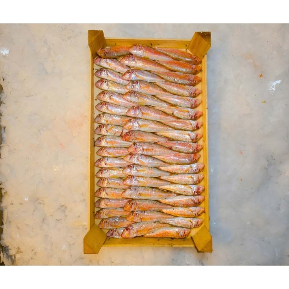 TEKİR İRİ BARBUN 4KG (KASA)