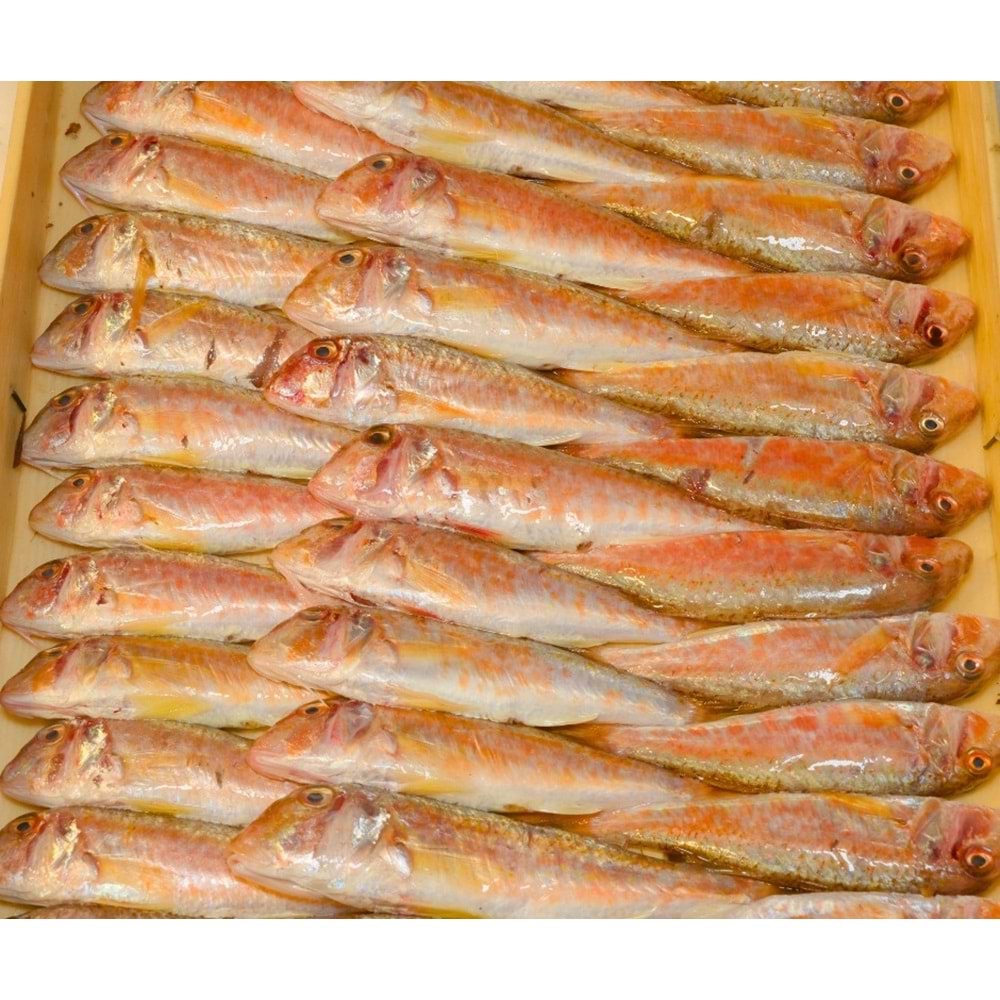 TEKİR İRİ BARBUN 4KG (KASA)
