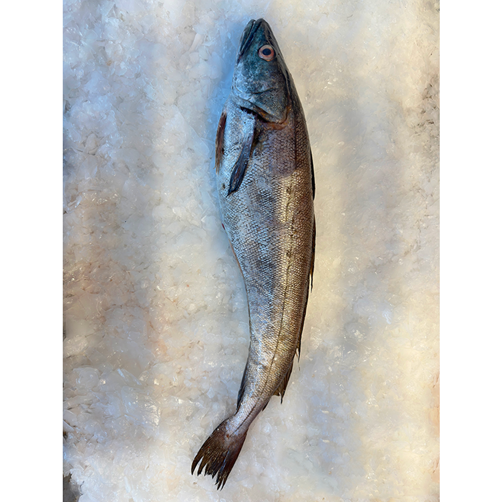 MIRLAN İRİ 3,170 GR.