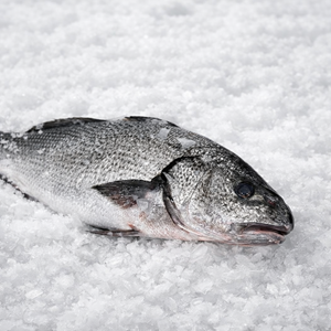 MİNEKOP OLTA ADET 3,000-3,200 KG