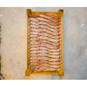 TEKİR İRİ BARBUN 4KG (KASA)