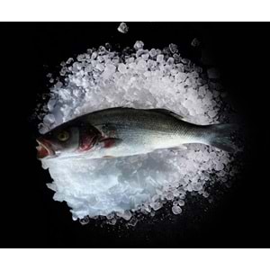 DENİZ LEVREĞİ 2,384 KG