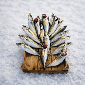 İSTAVRİT İRİ 3KG KASA