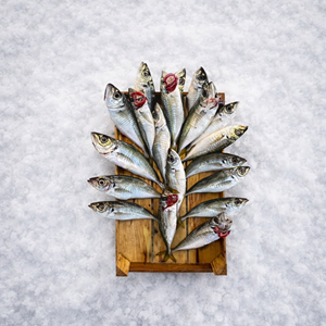 İSTAVRİT İRİ 3KG KASA