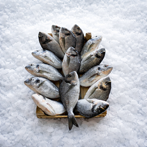 ÇİPURA (300 - 350gr.) 5 KG KASA