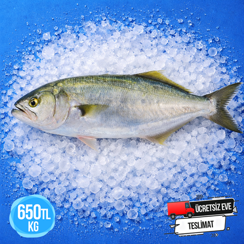 KOFANA 5,400 KG