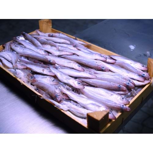 MEZGİT GÖÇMEN ÇANAKKALE 4 KG(KASA)