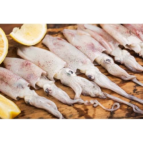 YERLİ KALAMAR BÜLBÜL ( 4KG)
