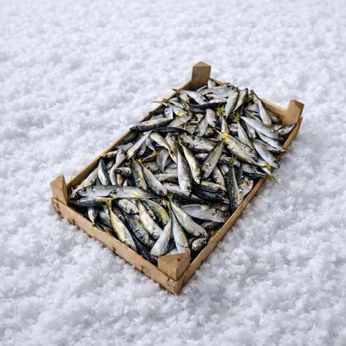 İSTAVRİT 10 KG KASA