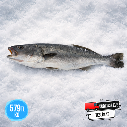 KAYA LEVREĞİ 3,890 KG