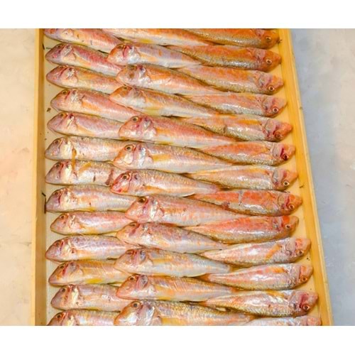 TEKİR İRİ BARBUN 4KG (KASA)