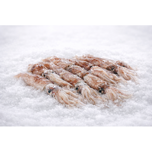 YERLİ KALAMAR BÜLBÜL ( 3KG)