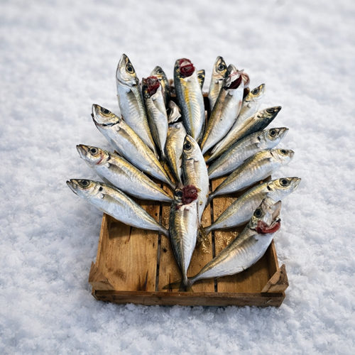 İSTAVRİT İRİ 3KG KASA