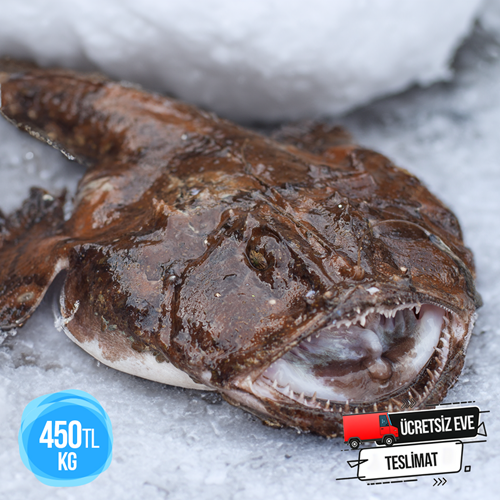 FENER BALIĞI 9,225 KG